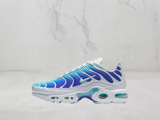 Nike Air Max Plus - Blanc / Bleu Marine