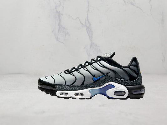 Nike Air Max Plus Unity - Gris