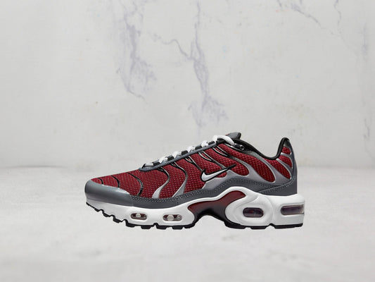 Nike Air Max Plus - Gris / Bordeaux